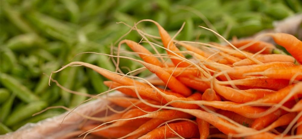 close up of carrots
