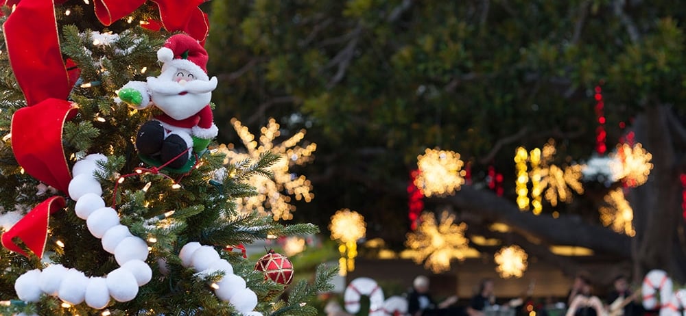 Everything To Do In Santa Monica This Winter | Fairmont Miramar