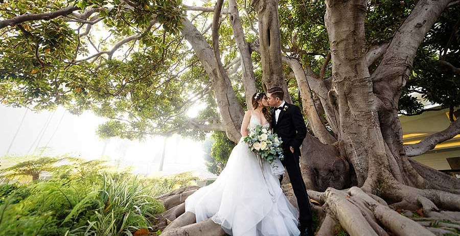 married couple under a tree
