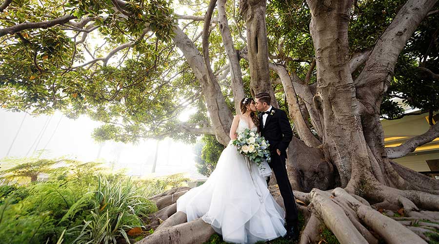 married couple under a tree