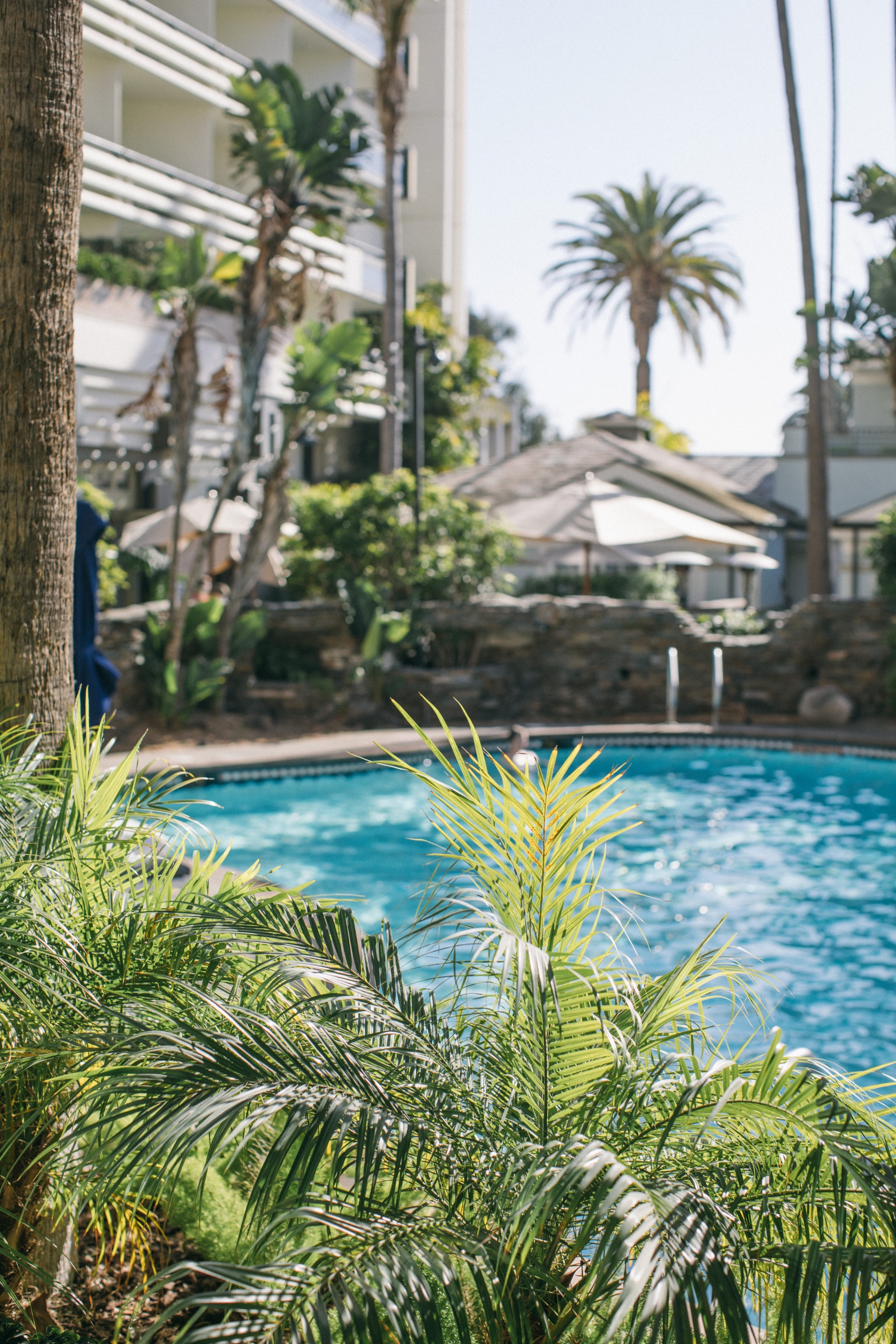 resort pool close up