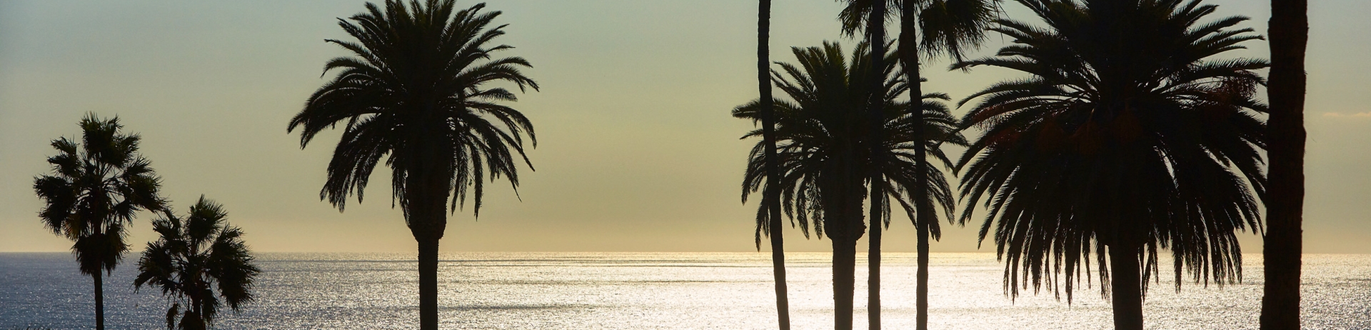 Fairmont Miramar - Beach