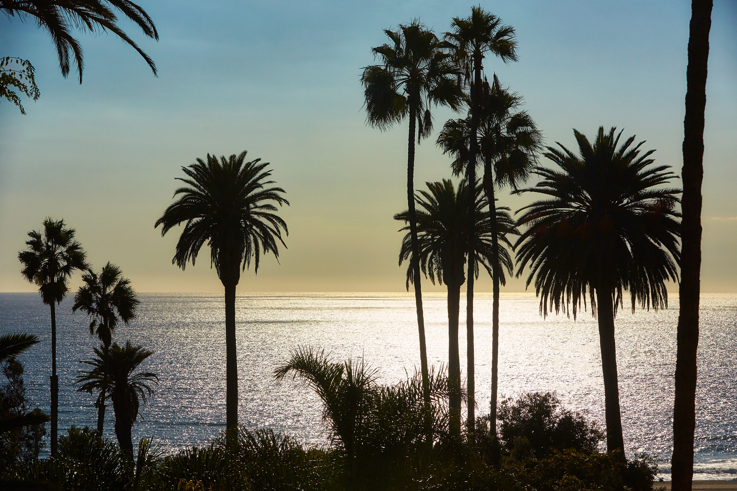 Fairmont Miramar - Beach