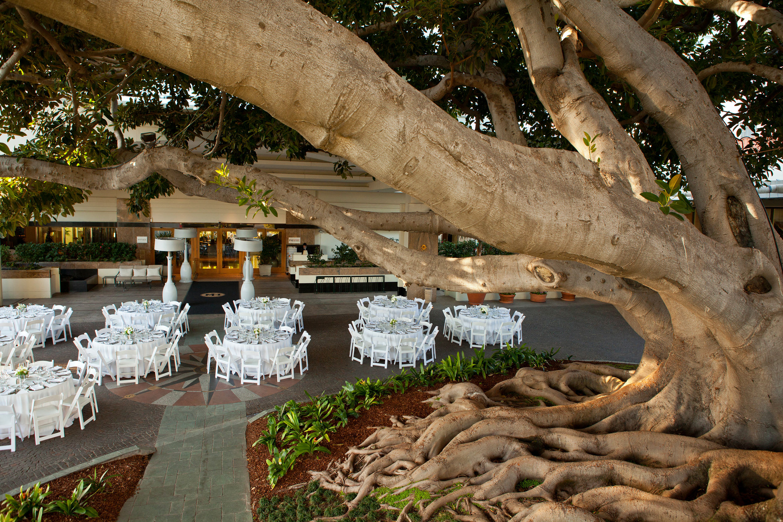 Fig Banquet area