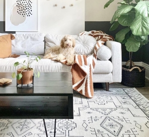 goldendoodle lounging on a couch