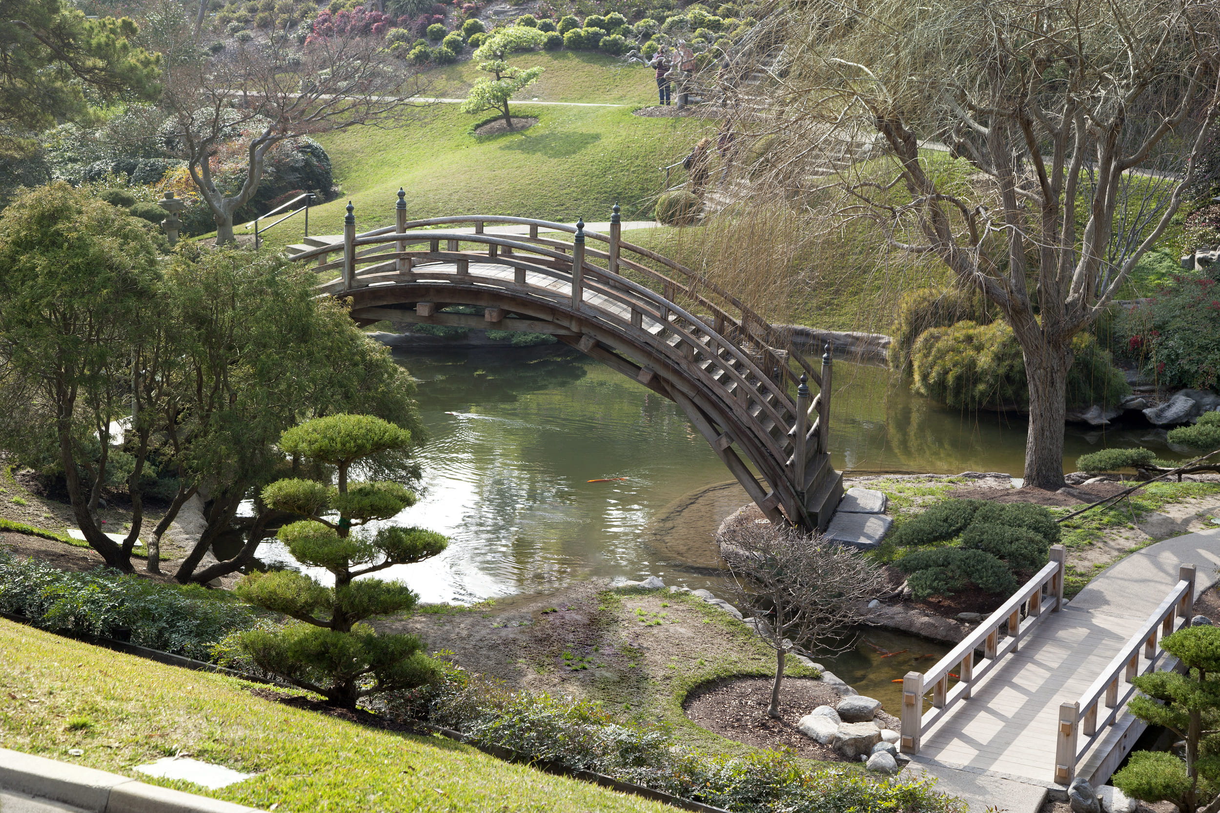 bridge at the huntington botanical gardens