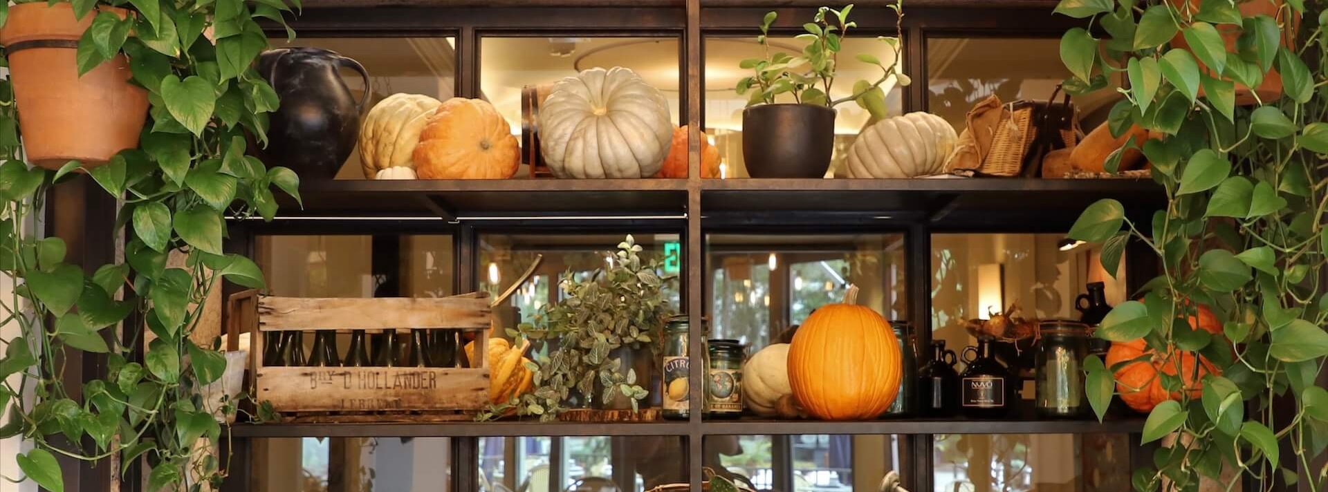 thanksgiving decorations