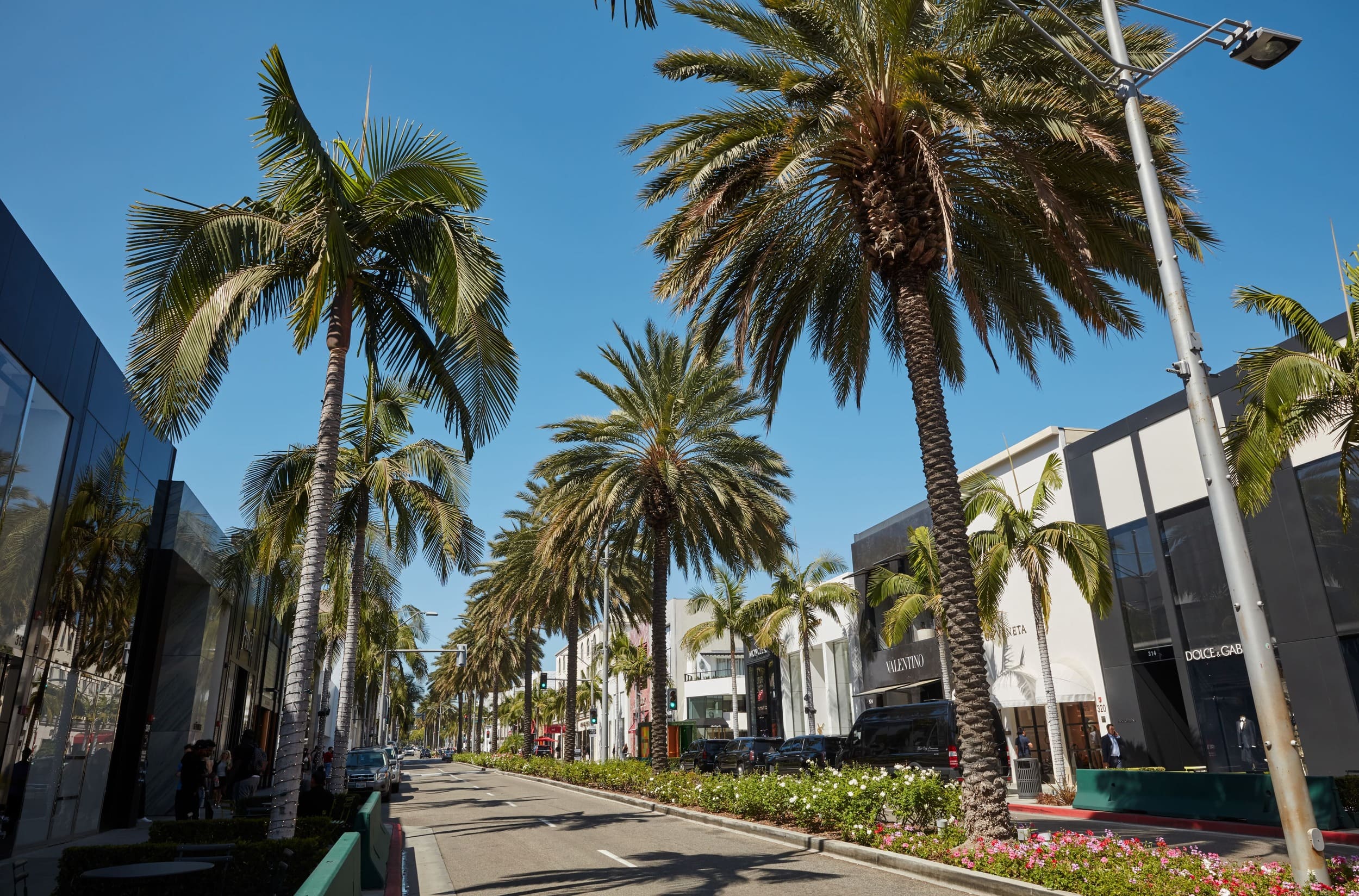 rodeo drive with palm tress