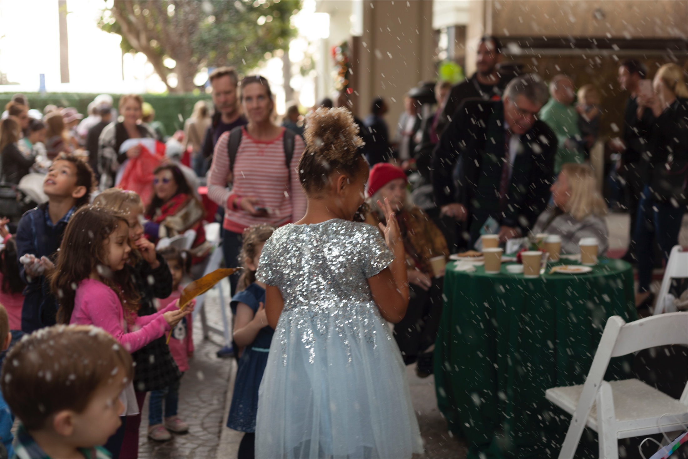 Little girl in a princess dress at Meet Me Under the FIG Tree