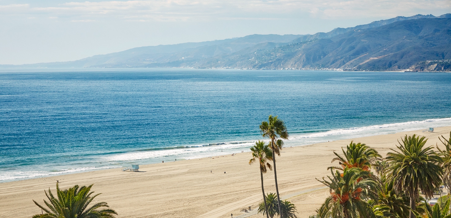 ocean view with a piece of malibu