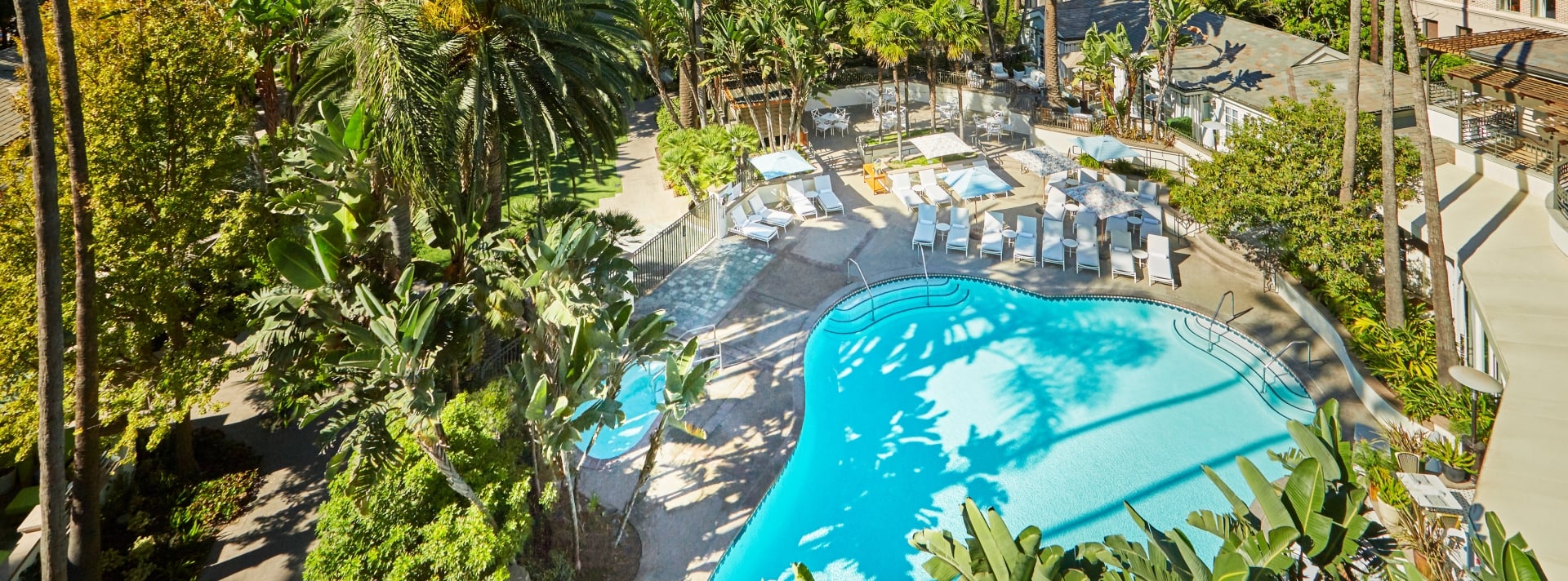 pool hero image in santa monica