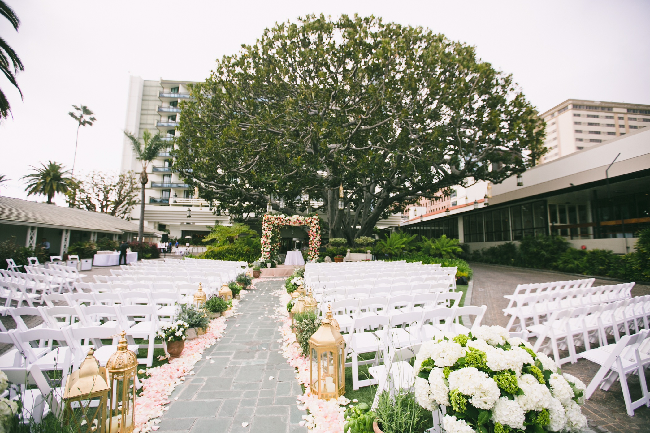 wedding ceremony underneath the fairmont miramar fig tree