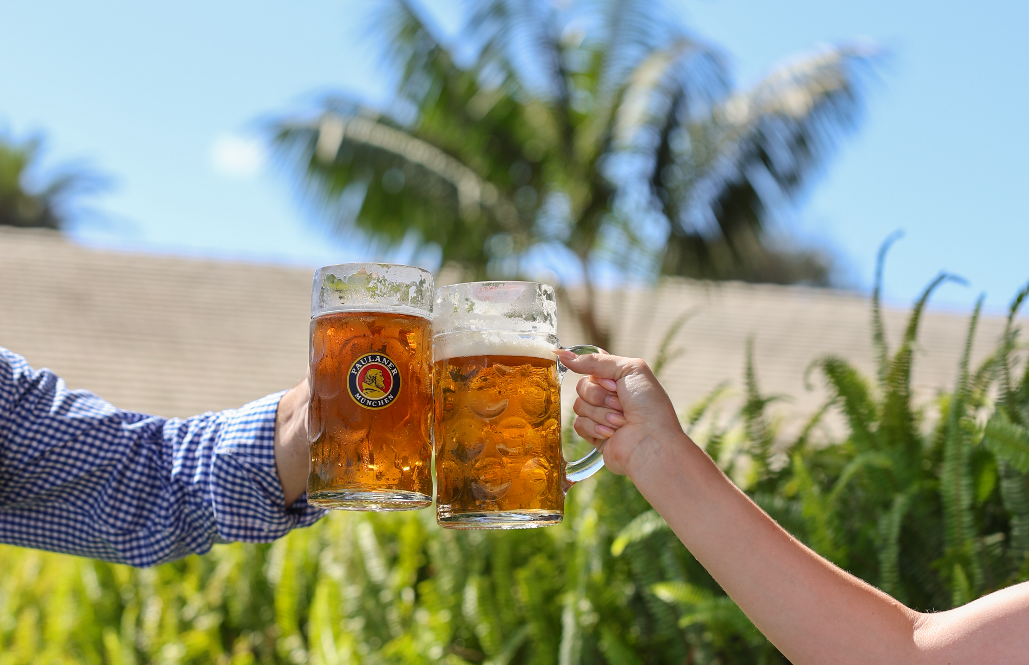 Beer steins in a cheers